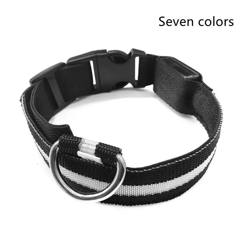 Nylon LED dog collar with black and white stripe, adjustable with metal D-ring and plastic buckle