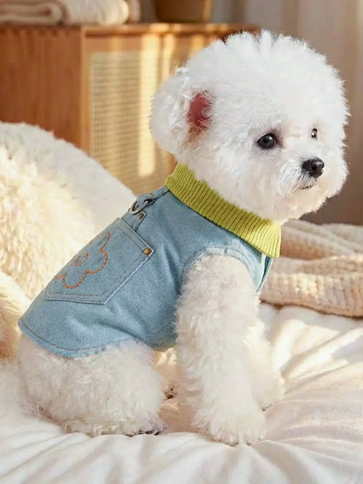 Denim Flower Embroidered Pet Top, light blue denim with lime green ribbed collar worn by a fluffy white dog.
