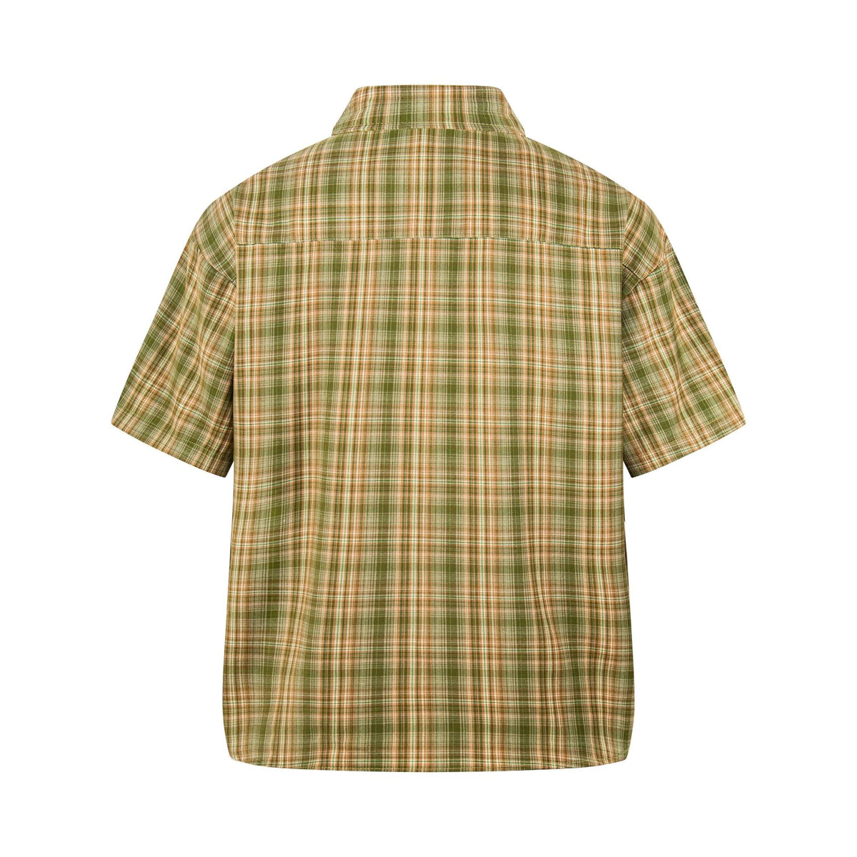 Long haired girl and puppy embroidered shirt, green and brown plaid pattern, back view