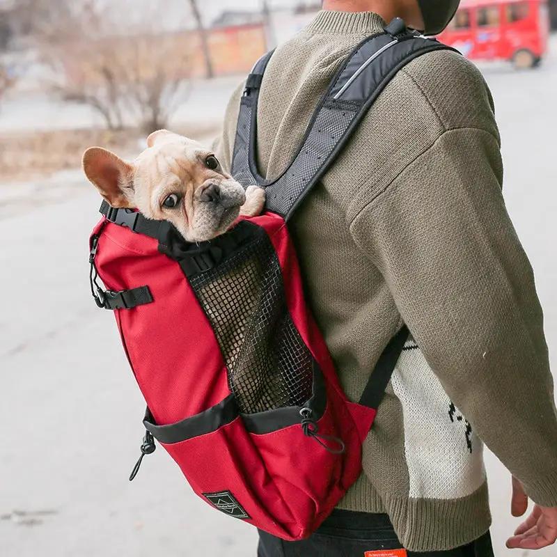 Red dog carrier backpack with mesh side panel, worn by a person with a small dog peeking out.