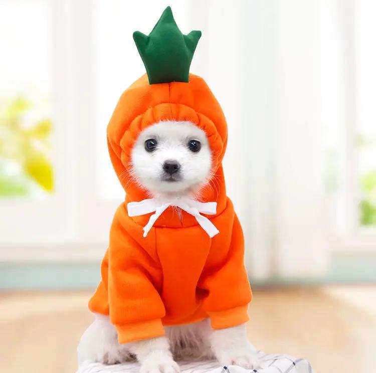 Carrot hoodie for small dogs, orange fleece coat with white bow and green top