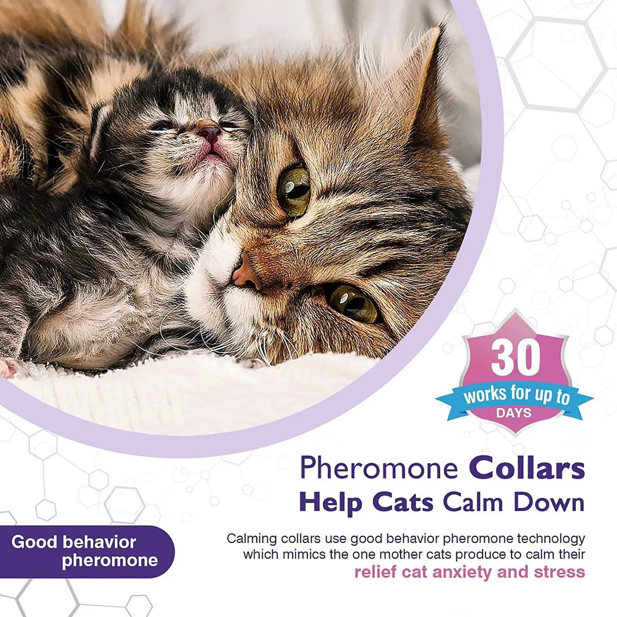 Pet Calm Collar for cats by AdTec; two cats (adult and kitten) with a purple border on packaging