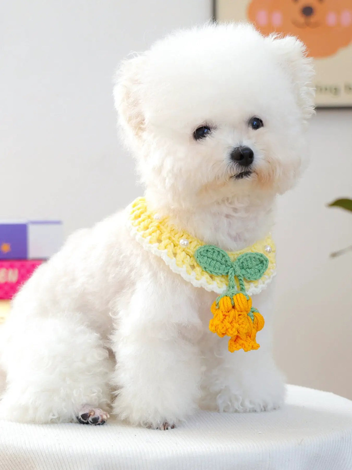 Contrast Pet Scarf on a white fluffy dog; yellow knit with white trim, green leaf motif, and orange tassels.