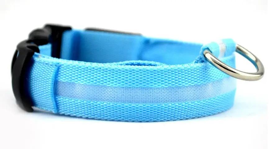 Blue nylon dog collar with reflective stripe and metal D-ring