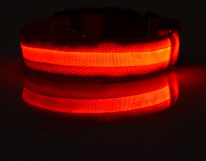 Nylon LED pet collar with bright red glow, adjustable night-visibility safety collar