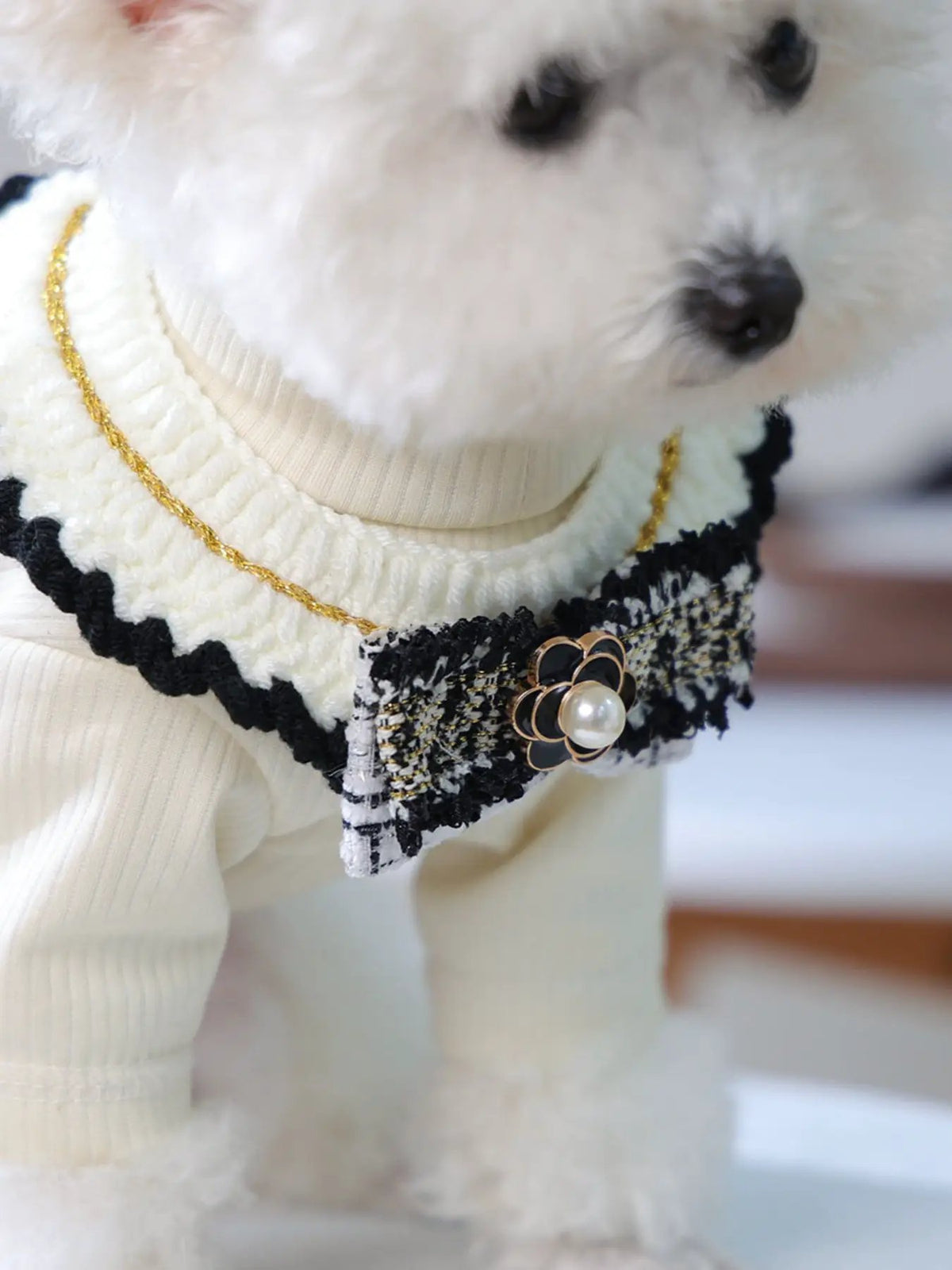 Contrast Pet Scarf in cream knit with black lace trim, gold chain, pearl flower accent