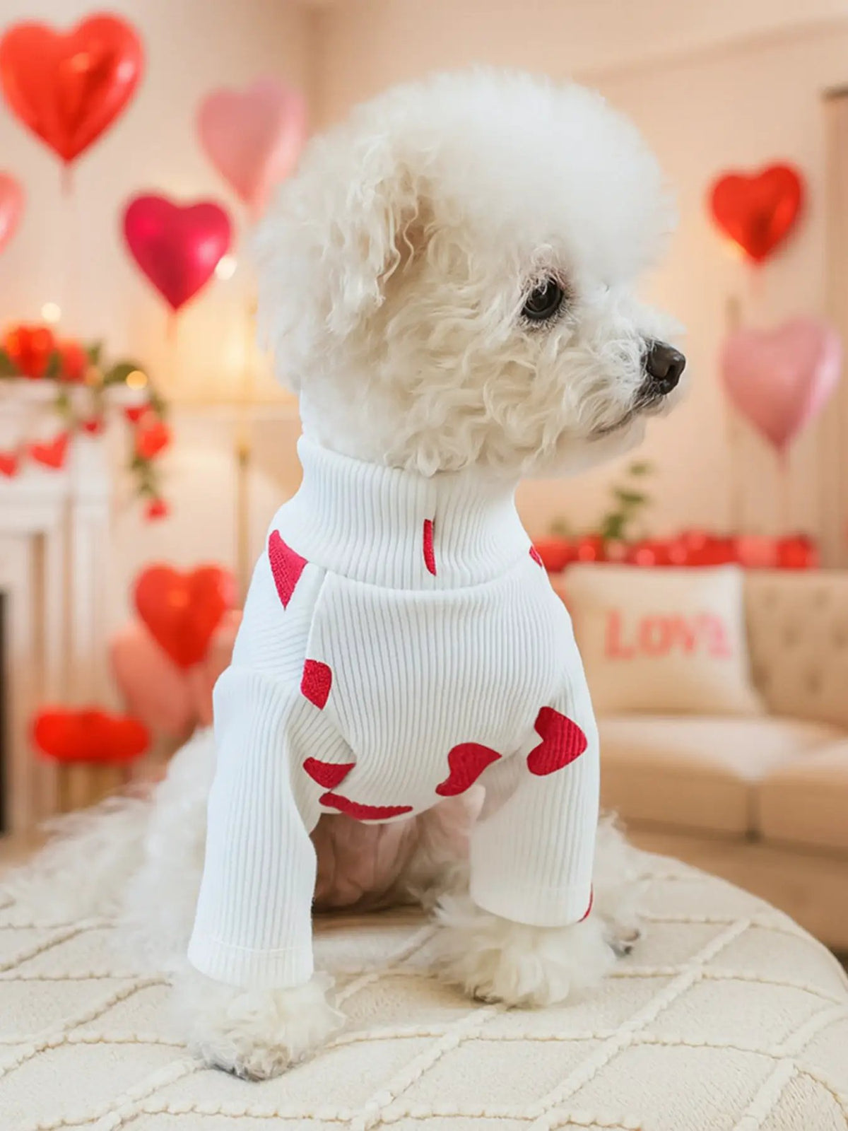 Heart Pattern Pet Sweater by Trendsi; white ribbed dog sweater with red hearts