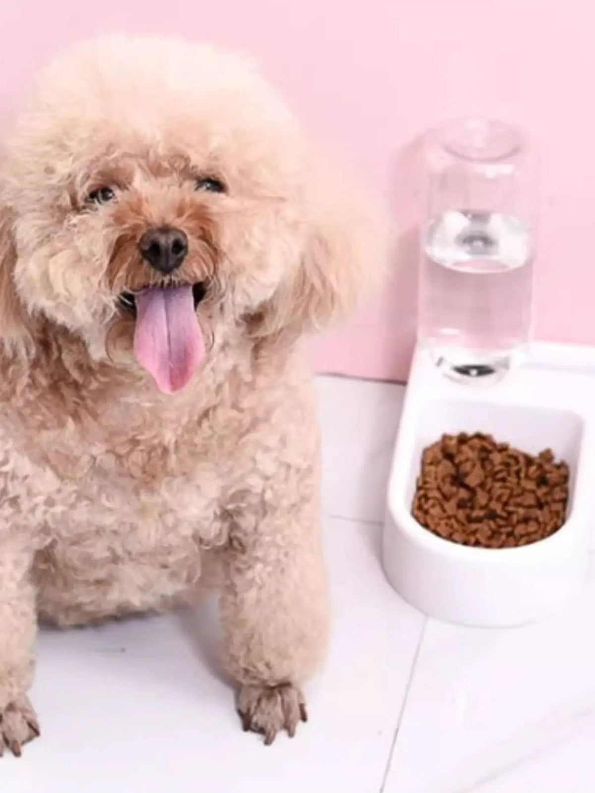 Automatic Water Refilling Pet Bowls with a white bowl beside a clear water bottle and a fluffy apricot dog