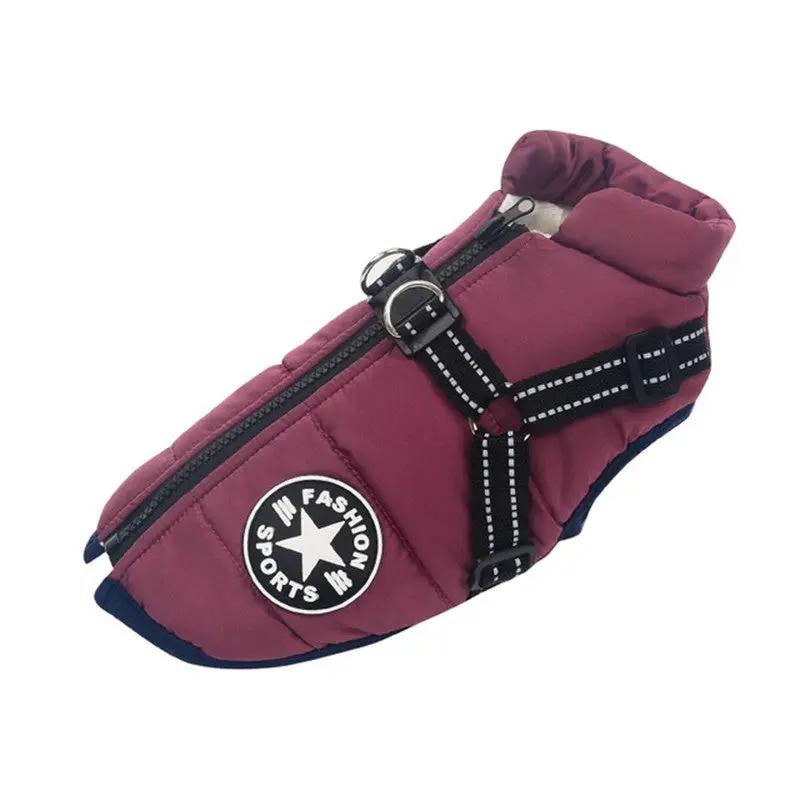 Large maroon dog jacket with black harness straps and zipper closure for winter warmth