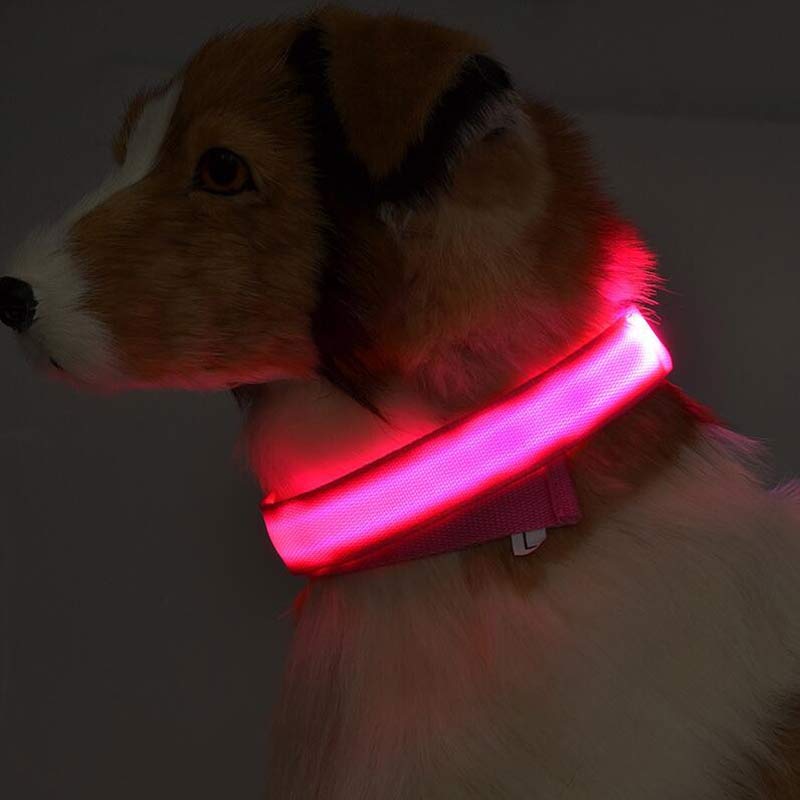 Nylon LED dog collar by AdTec; red glow safety collar for night visibility.