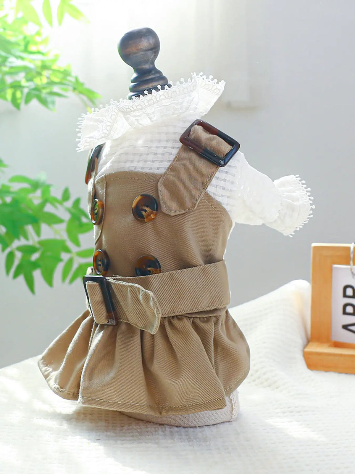 Buckle Pet Trench Coat in tan with brown buttons and lace-trim collar
