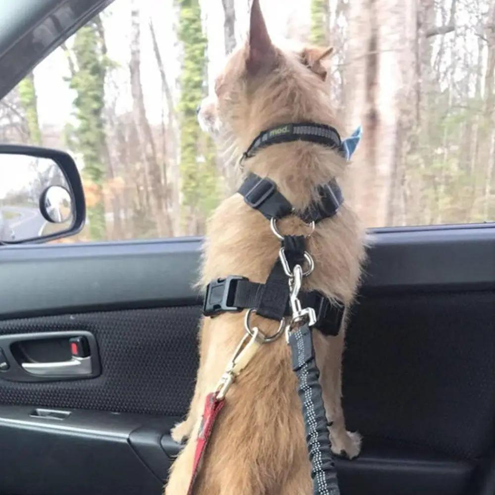 Adjustable dog car seat belt harness by AdTec with black reflective nylon strap in car