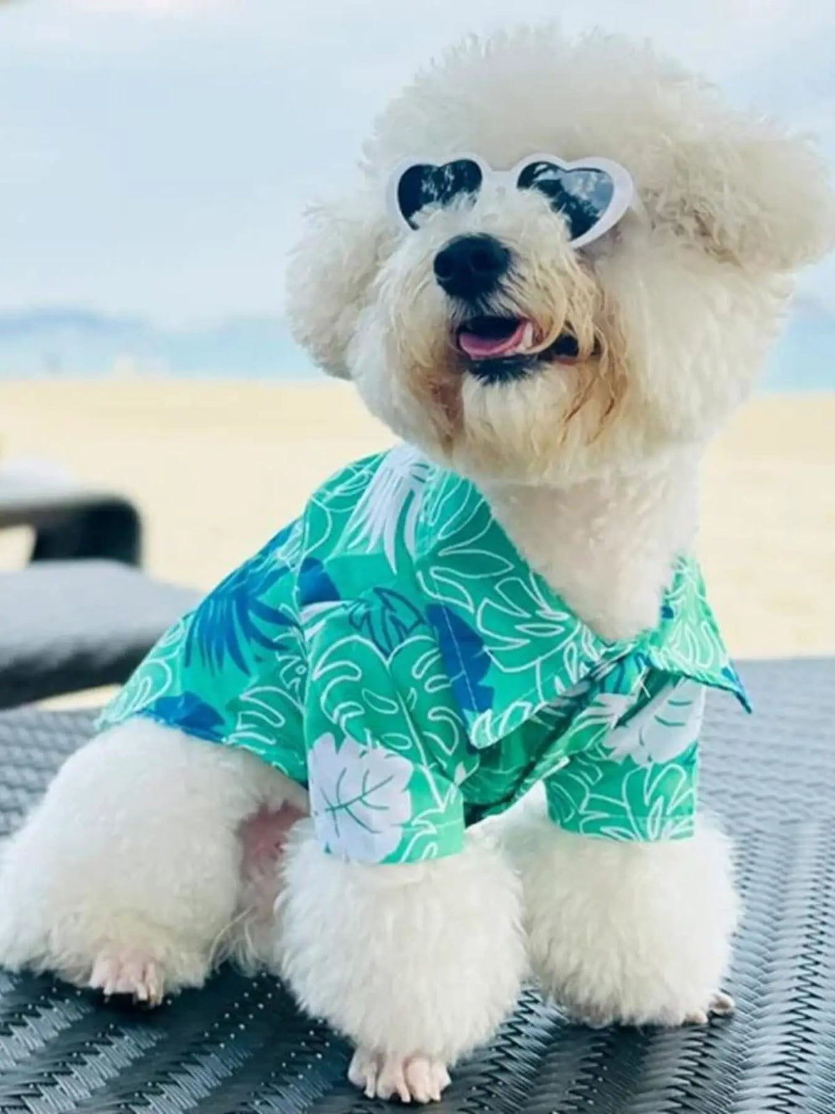 Lightweight Pet Top by Trendsi; turquoise tropical print shirt on a fluffy dog wearing heart-shaped sunglasses