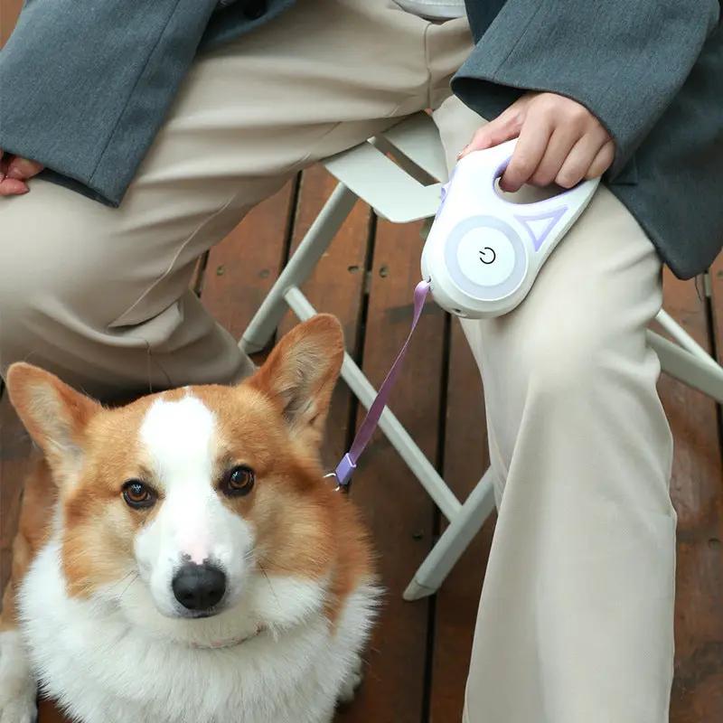 Retractable dog leash with white housing and purple leash; handheld control for small to medium dogs
