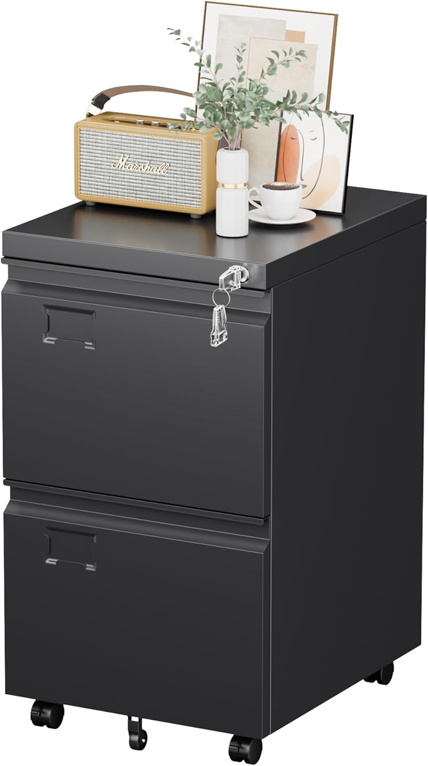 2 Drawer Mobile File Cabinet