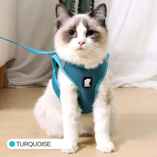 Anti-strike cat harness in turquoise mesh with leash, AdTec brand, on a fluffy cat