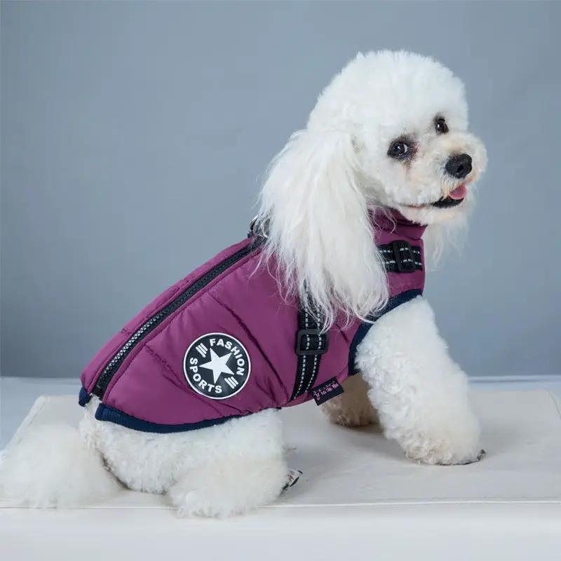 Waterproof dog coat with harness in purple, worn by a white poodle.