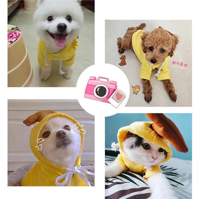 Dog hoodie collage: four small dogs in bright yellow fleece hoodies for winter warmth