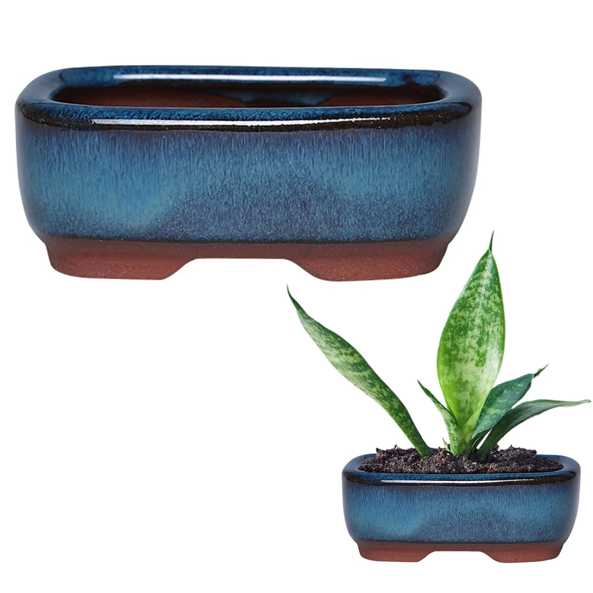 Blue glazed ceramic plant pots set of 2 with gradient finish for indoor and outdoor use.