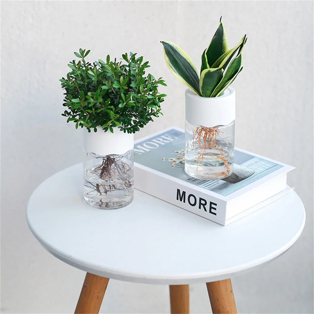 Two mini hydroponic plant pots with white lids, made of transparent imitation-glass, housing green plants.