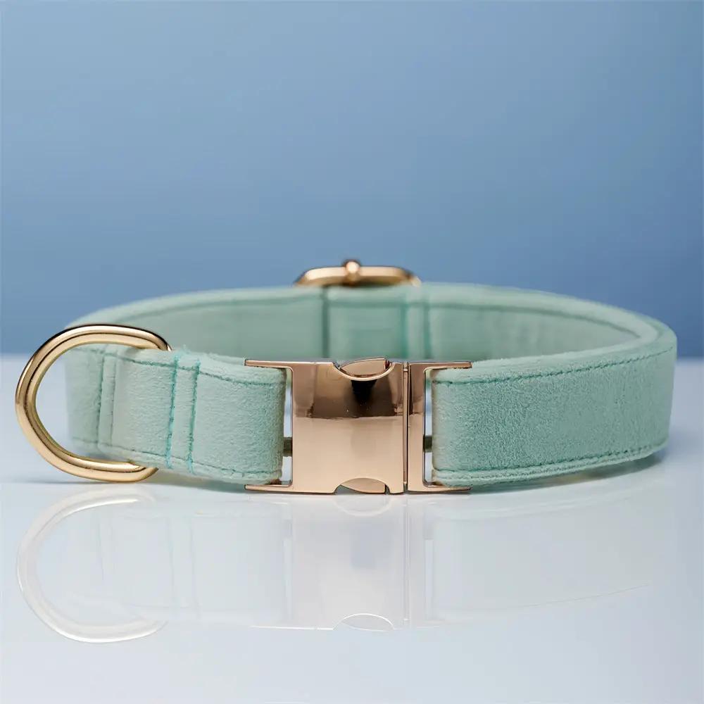 Velvet dog collar in mint green with gold hardware
