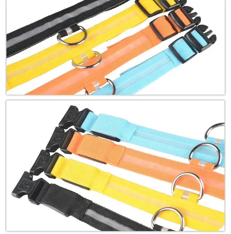 Nylon LED dog collar set 4-pack in assorted colors with reflective stripe, adjustable buckles, metal D-rings