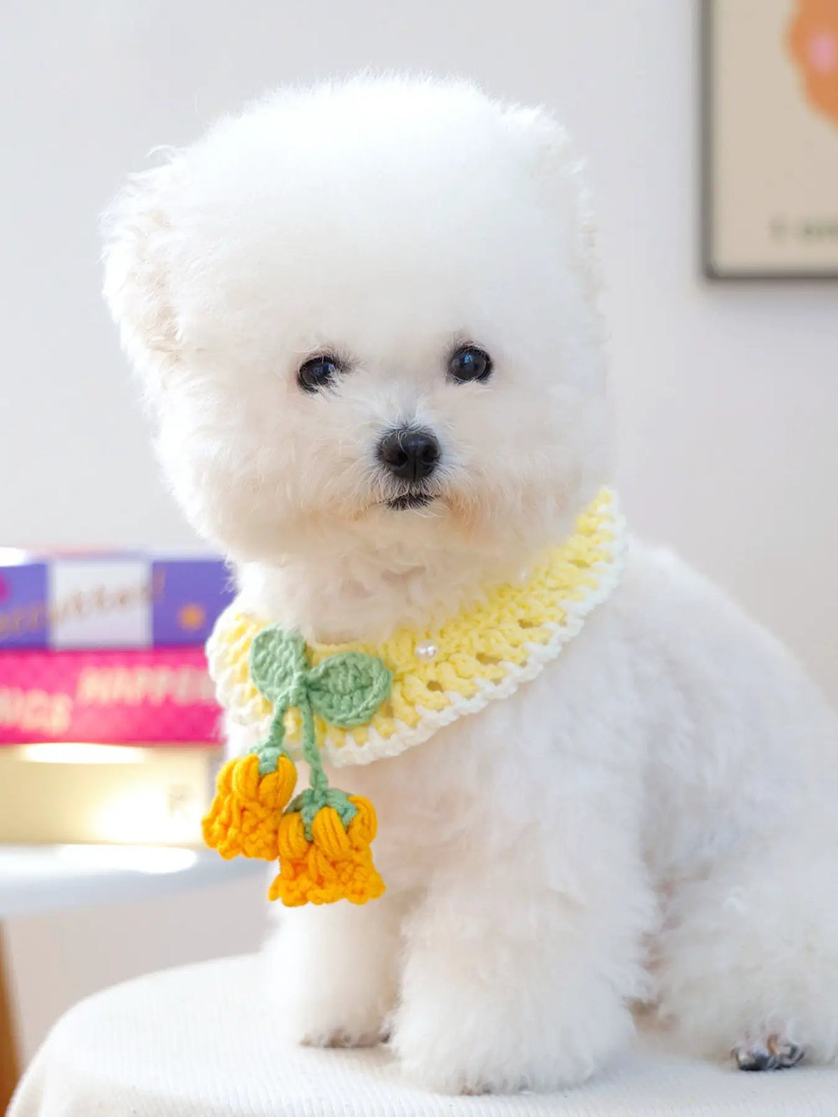 Contrast Pet Scarf; crocheted yellow scarf with green bow on a white fluffy dog