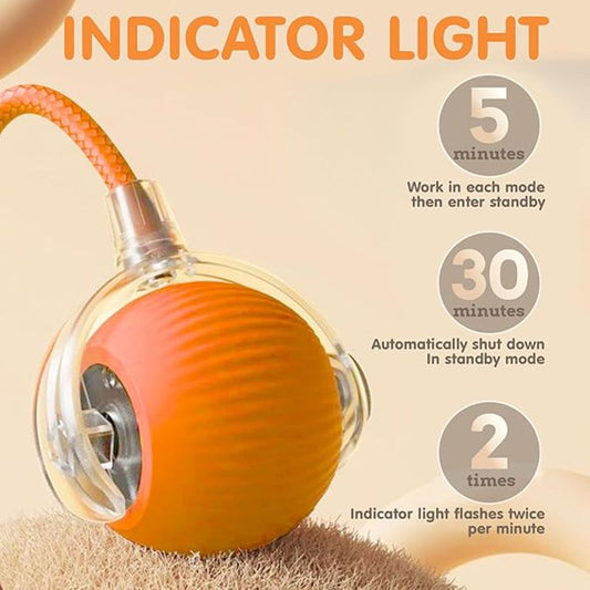 Jouets interactifs pour chat, balle roulante automatique pour chaton, jouets électriques intelligents rechargeables pour animaux de compagnie avec capteur de plumeau, balle pour chat