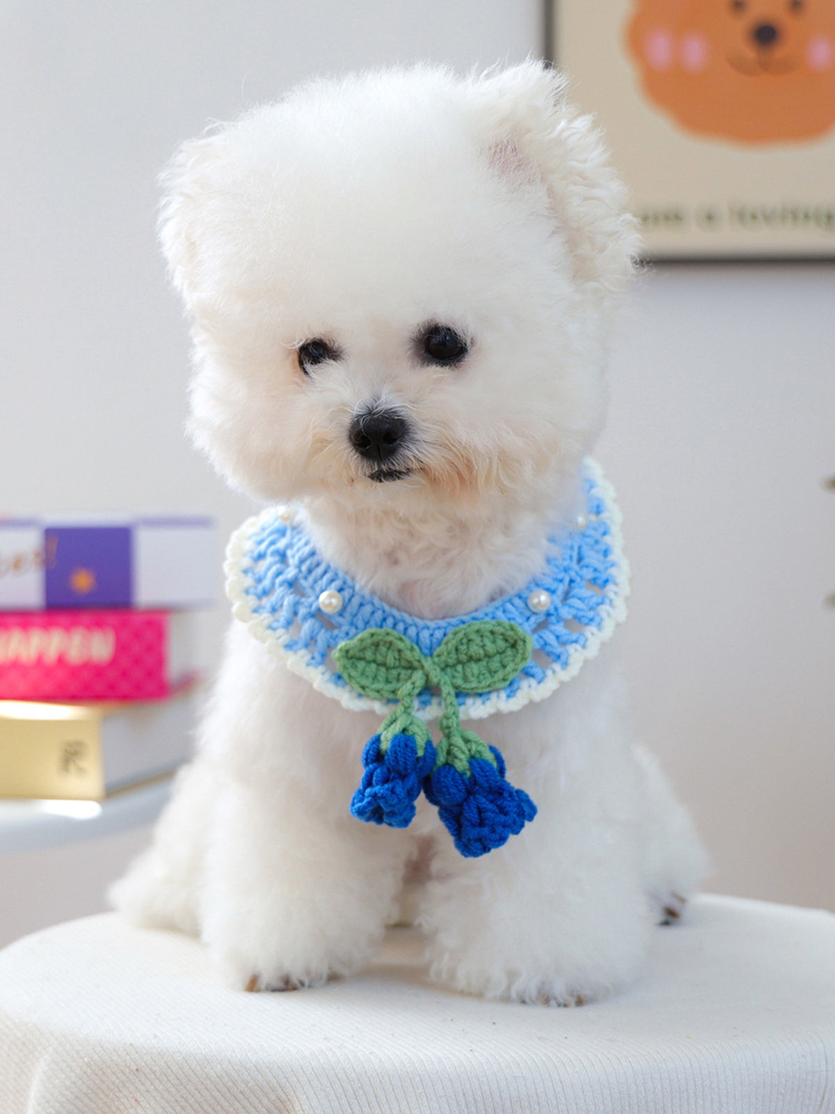 Contrast Pet Scarf: blue crochet with white edging, green leaf accent, and blue tassels on a fluffy white dog