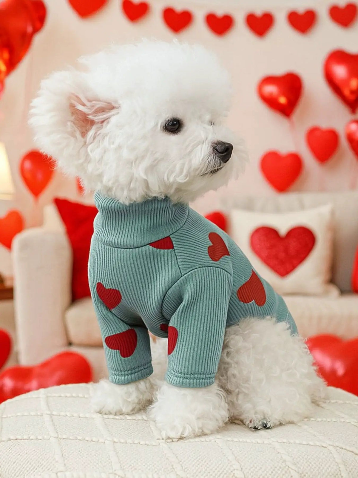 Heart Pattern Pet Sweater on a white fluffy dog; teal ribbed knit with red hearts.