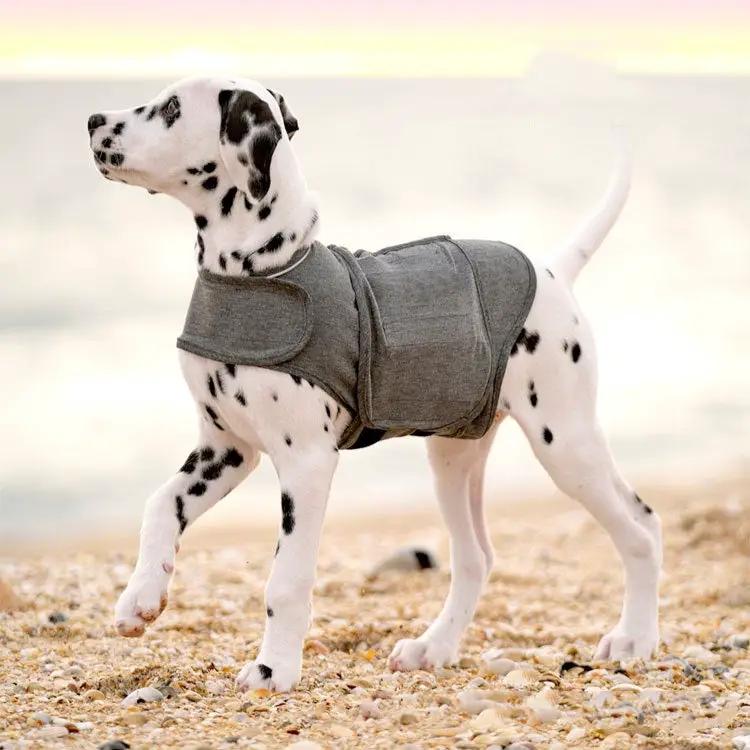 Dog anxiety jacket warm vest in gray worn by Dalmatian at the beach