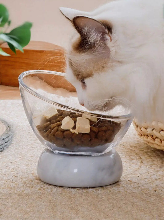 Elevated Tilted Non-Slip Clear Glass Pet Bowl on gray stand