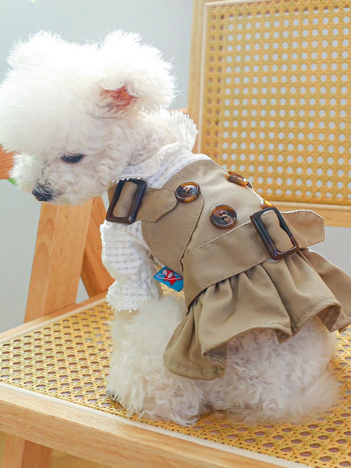 Buckle Pet Trench Coat for dogs, beige belted coat with brown buttons and black buckles
