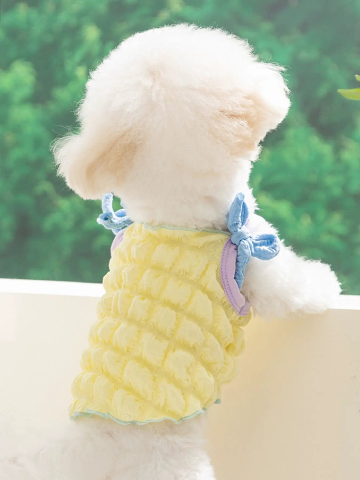 Bubble Textured Tie Shoulder Pet Top in yellow with blue bow-shoulder ties on a fluffy dog.