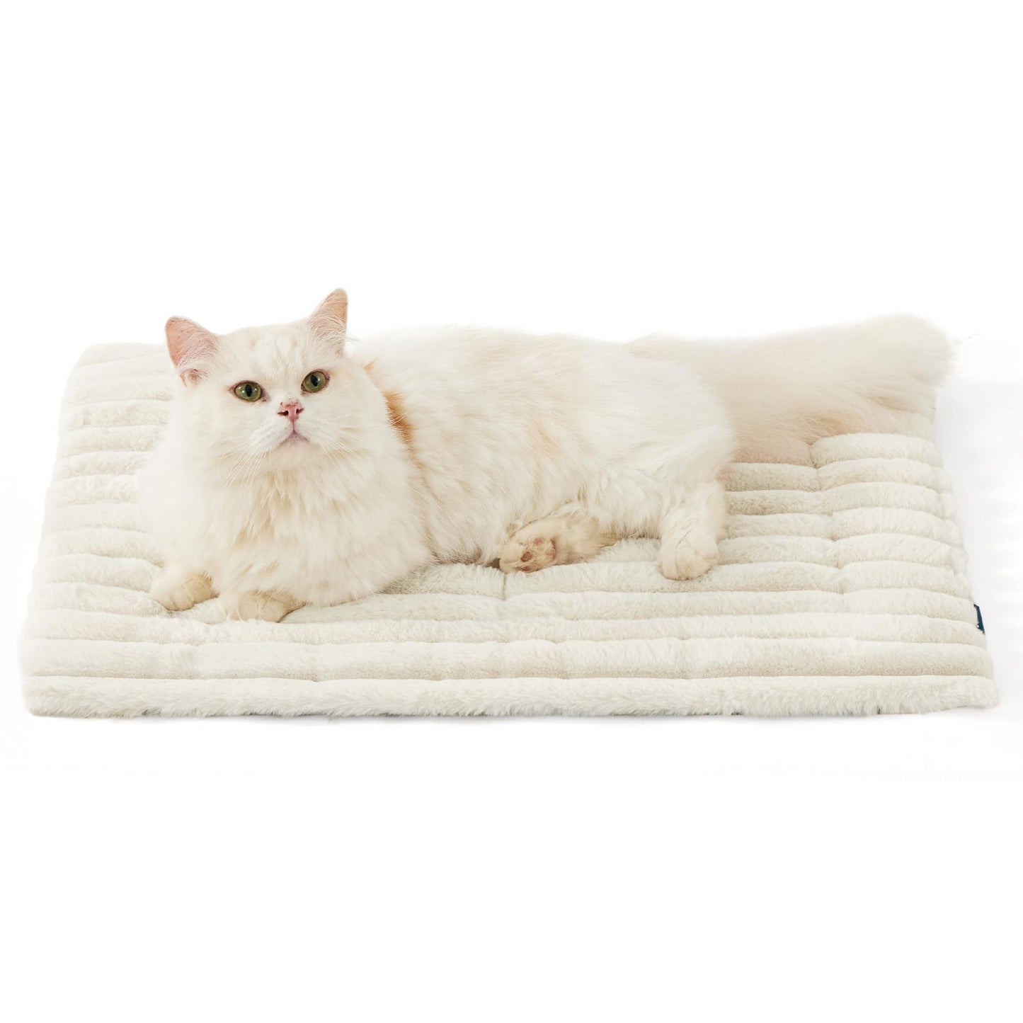 Tapis auto-chauffant pour chat de petite taille, coussin de caisse pour chien auto-chauffant, tapis thermique extra-chaud pour chiot, intérieur/extérieur antidérapant.
