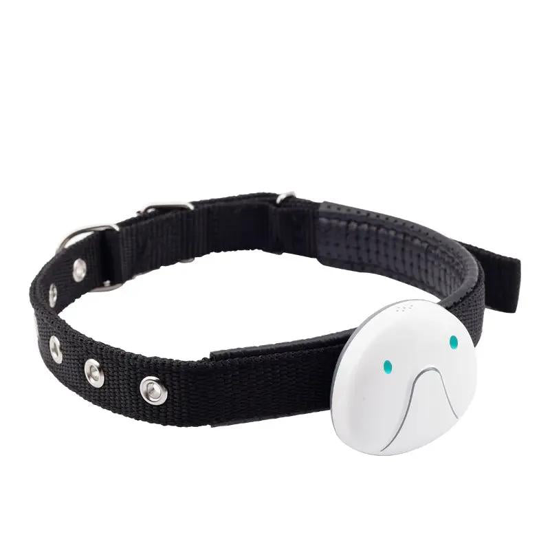 Mini Pet Smart Wearable Locator on black nylon collar with white circular tracker.