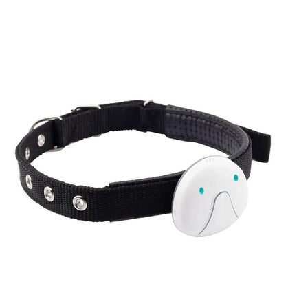 Mini Pet Smart Wearable Locator on black nylon collar with white circular tracker.