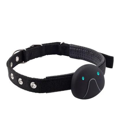 Mini Pet Smart Wearable Locator by AdTec on black adjustable collar with teal LED dots