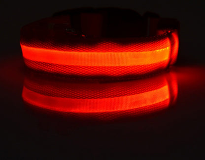 Collar luminoso de nailon con LED para mascotas, de seguridad nocturna, intermitente, que brilla en la oscuridad, correa ajustable para perros y gatos, suministros para mascotas