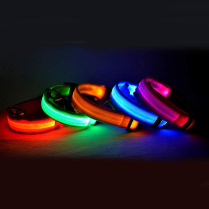 Collar luminoso de nailon con LED para mascotas, de seguridad nocturna, intermitente, que brilla en la oscuridad, correa ajustable para perros y gatos, suministros para mascotas