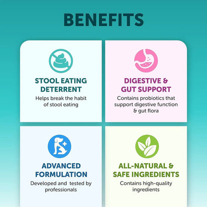 Pet intestinal probiotic chewable tablets by AdTec; 4 colorful tiles show stool-deterrent and digestive support.