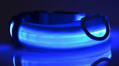 Nylon LED pet collar by AdTec, blue glow, adjustable for nighttime safety.