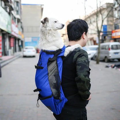 Pet dog carrier backpack in blue with mesh side pocket, worn by a person