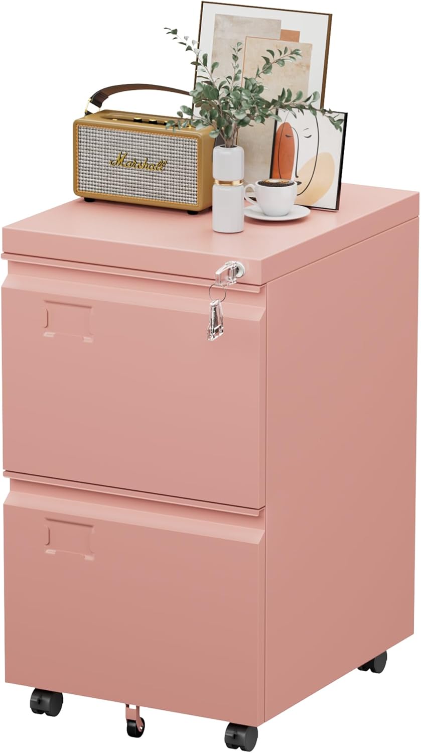 2 Drawer Mobile File Cabinet