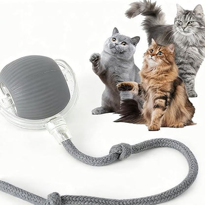 Juguetes interactivos con forma de bola para gatos, bola giratoria automática para gatitos, juguetes eléctricos inteligentes recargables para mascotas con sensor de puntero, juguete de bola para gatos