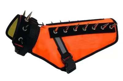 Développement de produits Paw Roll