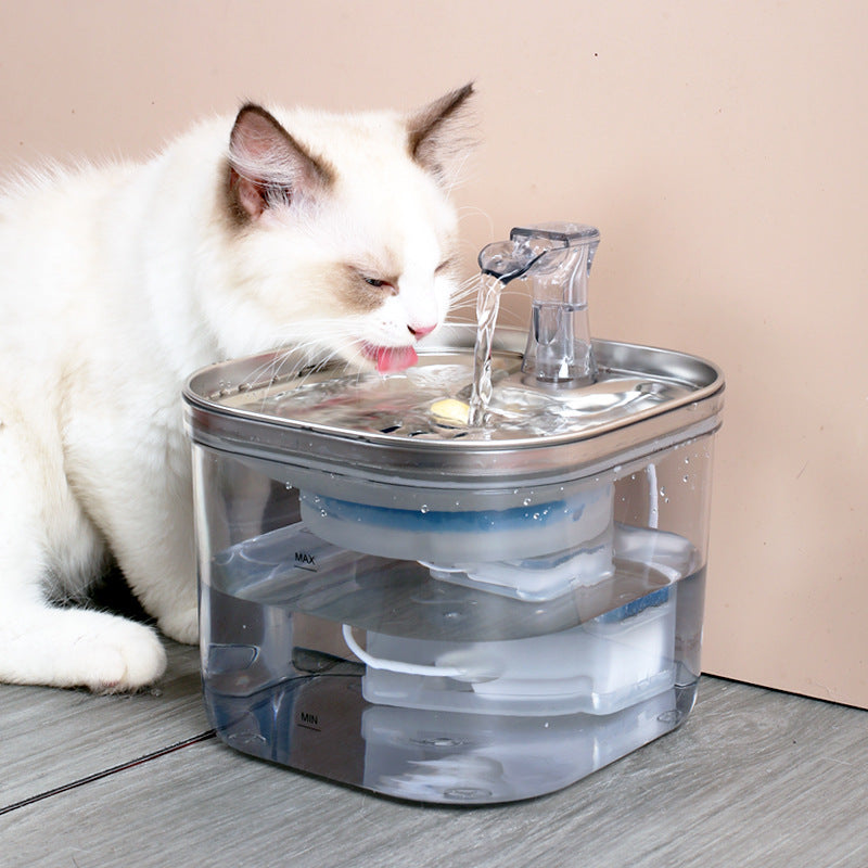 Distributeur d'eau intelligent à circulation automatique en acier inoxydable pour chiens et chats, fontaine pour animaux de compagnie