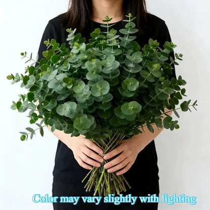 Artificial eucalyptus bouquet, 26pcs, PrimeCanada.Store, with round green leaves