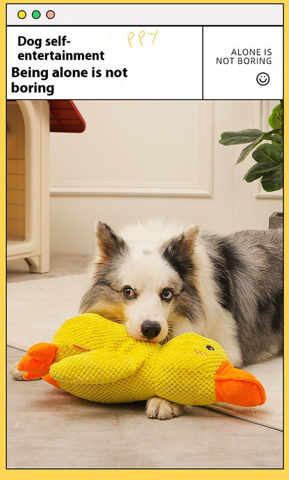 Canard apaisant