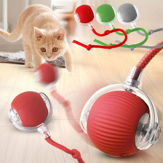 Jouets interactifs pour chat, balle roulante automatique pour chaton, jouets électriques intelligents rechargeables pour animaux de compagnie avec capteur de plumeau, balle pour chat